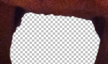 Tutorial image result